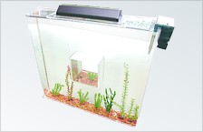 Aquariums and fish tanks.